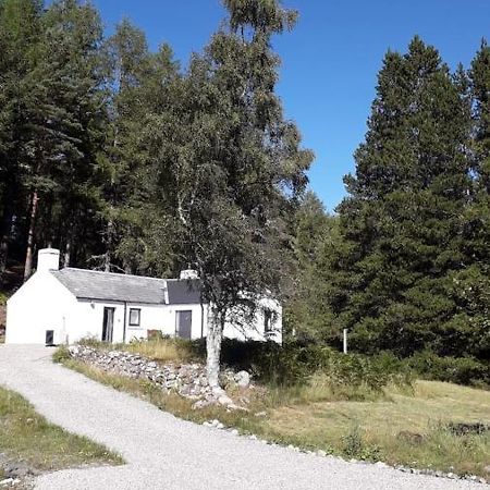 Torgoyle Cottage Inverness Exteriör bild