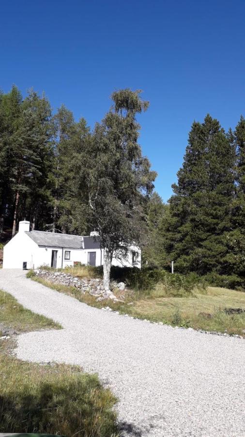 Torgoyle Cottage Inverness Exteriör bild
